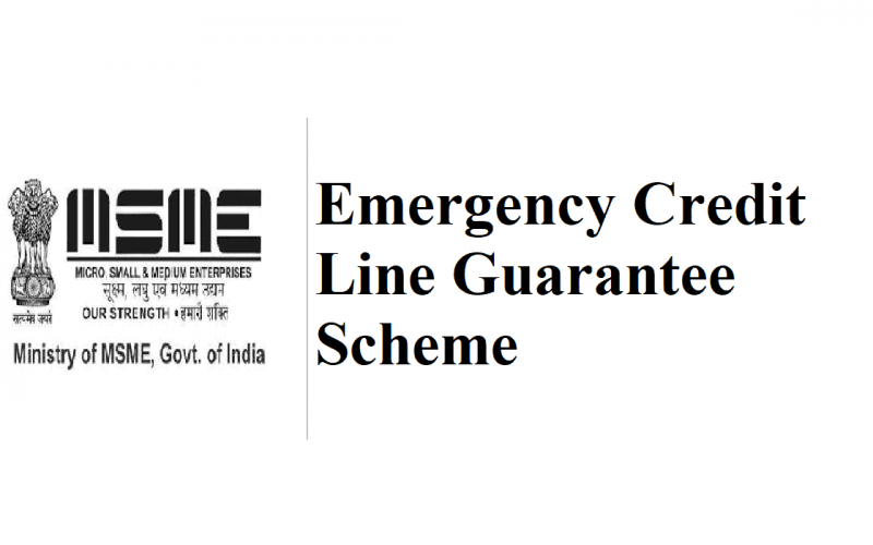 Emergency Credit Line Guarantee